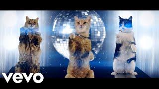 Meow Mix - The Shelines (Official Music Video) (DO NOT BLOCK THIS VIDEO)