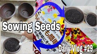 Daily Vlog || Gardening in Progress || Sowing Chilly and Coriander Seeds || Ranjan Cndl