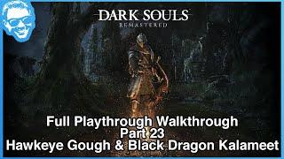 Hawkeye Gough & Black Dragon Kalameet - Full Narrated Walkthrough Part 23 - Dark Souls Remastered