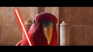 Red bird meme - [Star Wars Episode 0,1 - The  Red Parrot Menance]