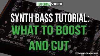 Synth Bass Tutorial: What To Boost And Cut | Soundoracle.net