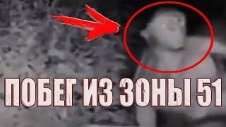 Они сбежали из Зоны 51 на подбитом НЛО? Пришельцы попали на камеру наблюдения в Лас-Вегасе
