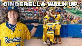 Cinderella Walk-Up | Will The Shoe Fit? | The Savannah Bananas