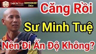 Sư Thích Minh Tuệ Ẩn Tu Nên Đi Ấn Độ Du Học Không ? Luật Sư Vlogs