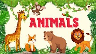 Học từ vựng Động Vật trong Tiếng Anh | Dạy bé từ vựng Tiếng Anh về con vật | Animals in English