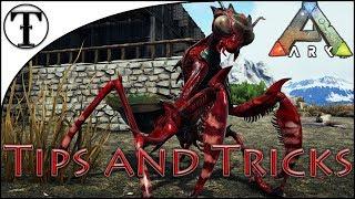 Fast Mantis Taming Guide :: ARK : Survival Evolved Tips and Tricks