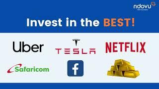 Invest in the Best with Ndovu!