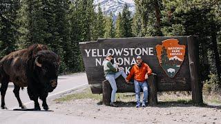 7 Cosas que no te puedes perder de YELLOWSTONE!