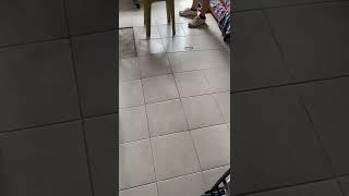 Floor Tiles Suddenly Crack || ViralHog