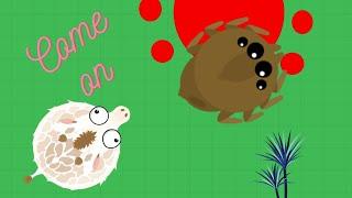 mini trolling (WHITE GIRAFFE) in mope.io!