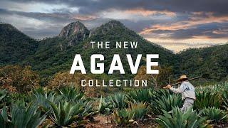 YETI Agave Collection | Color Inspired By True Events™