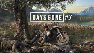 Days Gone | Новая Игра + | Выживание II | #3