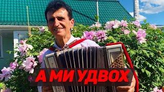 ВАСИЛЬ НЕСТЕРЕНКО - А МИ УДВОХ / ПІСНЯ ПІД БАЯН