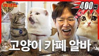 Working lying down Jang Sungkyu didn't want to pass out leaflets | Cat Café | Workman2