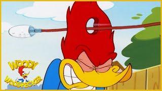 Woody Woodpecker Show | Tee Time | 1 Hour Non-Stop Woody Woodpecker Compilation | Cartoons For Kids