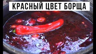  ПОЧЕМУ БОРЩ ТЕМНЕЕТ.  КРАСНЫЙ ЦВЕТ БОРЩА.  ENGLISH SUB. Borscht keep red color. Амоков.