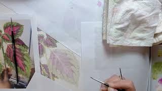 Variegated Leaf Painting Process