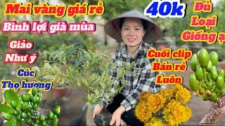 11-3️0379932216 gặp NguyênMai vàng giá rẻ40k Nhị Ngọc Toàn- Giảo Như Ý-Sb Bình lợi- Hoàng Đế