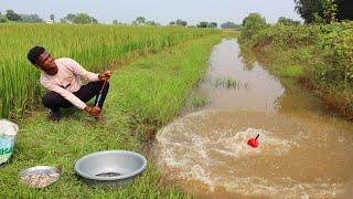 Fishing Video || I would not have believed if I had not seen so many fish in the village canal 