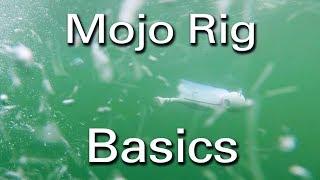 How to Troll Mojo Rigs for Striped Bass