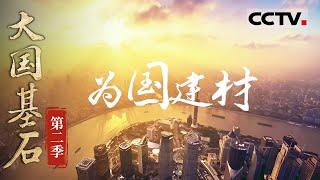 《大国基石》第二季 07 为国建材： “一代材料 一代装备” 今天的中国 已建成全球门类最全 规模最大的材料产业体系！【CCTV纪录】