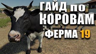 GUIDE FOR COWS Farming Simulator 19 Farm - How to Feed, How to Care, Where to Buy a Cow?