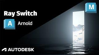 Arnold Tutorial: How to create a portal effect using the ray_switch shader (GPU)