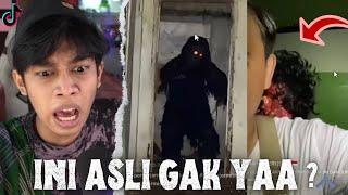 OH INI HANTU TIKTOK ‼️