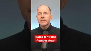 Katze zerkratzt fremdes Auto - wer haftet? ​ | WBS.LEGAL #shorts