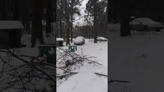 INSANE SNOW IN TEXAS. (Warning, poor quality.)