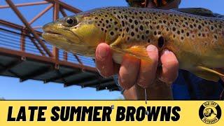 Boise River Fishing: Late Summer Browns and Bows