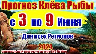 Прогноз клева рыбы на неделю с 3 по 9 Июня Прогноз клева рыбы Лунный Календарь рыбака