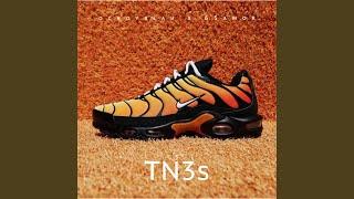 TN3s