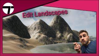 How to Edit Landscape | Twinmotion