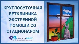 Ветклиники Южного Бутова