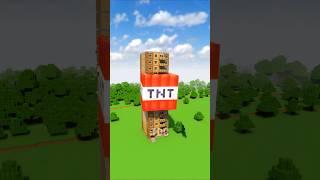 Big and Small TNT vs Tower