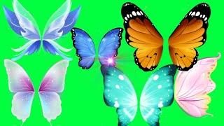 Animated Butterfly Green Screen | Butterfly Effect Green Screen Video | Green Screen Blue Butterfly