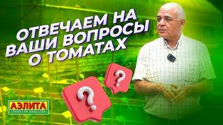 Профессор отвечает на ваши вопросы о ТОМАТАХ!