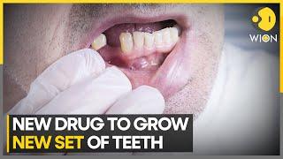 This drug could allow you to grow new teeth | Latest News | WION