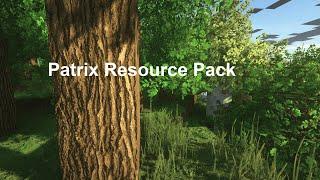 Patrix Resource pack | 32x-256x