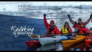 Kayaking in Antarctica with Humpback Whales