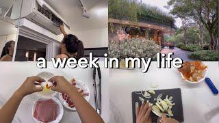 life in singapore  | endless household chores,birthdays,batch cooking #singapore #wfh #vlog