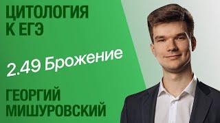 2.49. Брожение | Цитология к ЕГЭ | Георгий Мишуровский