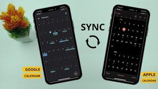 How to Sync Google Calendar With iPhone Calendar (2024)