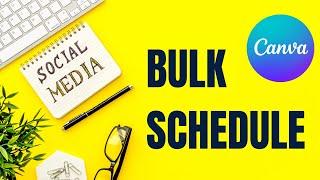 Bulk Schedule Social Media Posts with Canva || Pro Feature