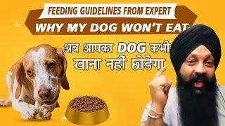 Dog WON'T EAT Their Food? बस ये करो Puppy Feed मग के खाएगा.