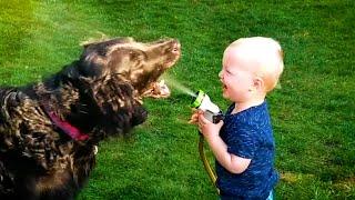 20 Minutes of HILARIOUS Babies Laughing With Pets  | Kids and Animals 