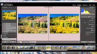 Using Lightroom 3 to convert RAW file into a JPG