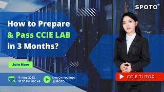 SPOTO CCIE Tutor -How to Prepare and Pass CCIE lab with SPOTO in 3 months