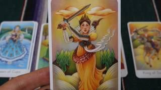 The Wisdom Seeker's Tarot review - whole deck flip through